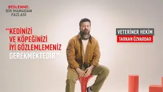 Kedilerde-Köpeklerde Davranış // Kedimin-Köpeğimin Davranış Problemlerini Nasıl Gözlemlerim?
