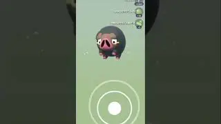 Hatching NEW 7KM EGGS in Pokemon Go!