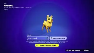 Как настроить своих напарников в Fortnite! (Простое руководство + советы)