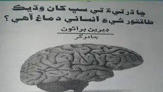 human brain /insanitary dimag sindhi latif vlogs