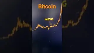 Bitcoin Halving with Price Action