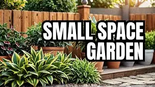 Small Space Garden Ideas for Your Home