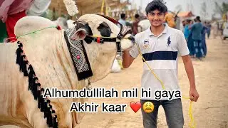 Finally hamain janwar mil gaya | naseeb ka soda | Northen bypass mandi 2023 |