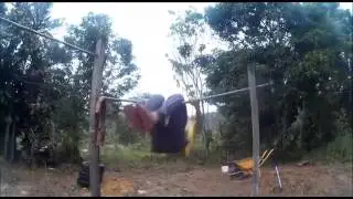 Barsteel street workout