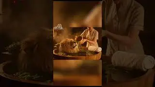 ASMR Lion Seaweed Bath 🦁 Relaxing Whisper Spa Treatment