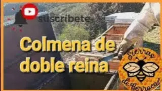 Colmena de doble reina
