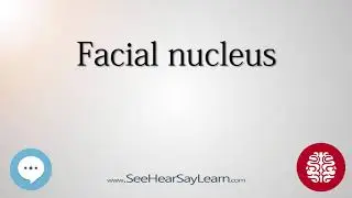 Facial nucleus   Anatomy of the Brain   SeeHearSayLearn 🔊