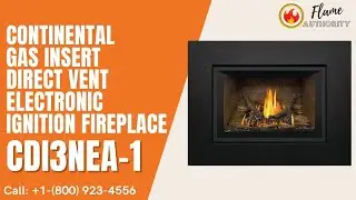 Continental Gas Insert Direct Vent Electronic Ignition Fireplace CDI3NEA-1