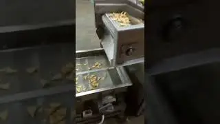 Bugle chips processing line in South Africa client factory