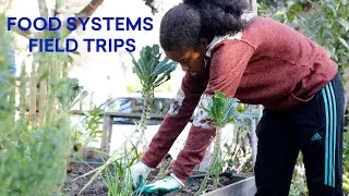 Eighth Graders Explore Food Systems Through Community Service Learning Trips