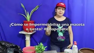 #Tutorial ¿Cómo impermeabilizar una maceta o tiesto? Método Chapopote. liclonny