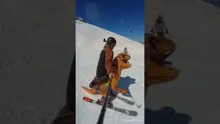 🤩 #fun #chill #snow #costume #dinosaur #smile #love #trex #new #laugh #pets #adventure #cat #funny