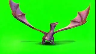 dragon flying & landing green screen