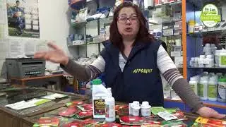 Помощ при избора за семена на домат: Съвета на агронома - част 2/4.