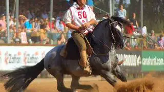 Chiquito e Bordoneio - Assim São Meus Cavalos