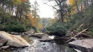 Muddy Creek Falls. Swallow Falls State Park, Maryland.