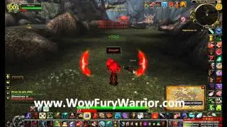 ✔ Shikaote - Fury Warrior 