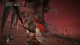 Finished the Job - Elden Ring Convergence Servant Of Rot Challenge 1