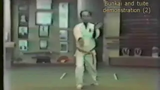 Master Seiyu Oyata - bunkai/tuite demo (2)