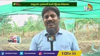 Azolla feed Cultivation Full details | Matti Manishi | 10TV News