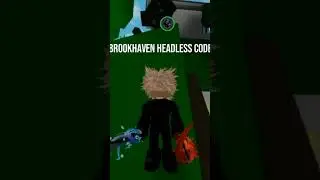 Brookhaven headless code