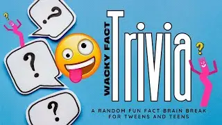 Игра-викторина &laquo;Wacky Fact&raquo; для учеников средней школы от Word Nerd