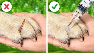 ASTUCES ET GADGETS UTILES POUR LES MA&Icirc;TRES D'ANIMAUX