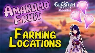 149 Amakumo Fruits in Less then 10 Minutes | Farming Locations and Route Guide