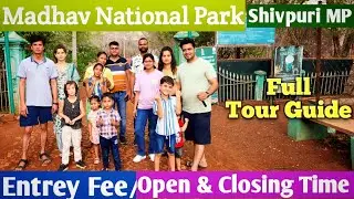 Madhav National Park || Shivpuri MP || Shivpuri national park