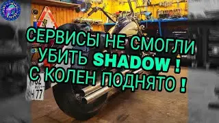 ИНОГДА МЕРТВЫЕ ОЖИВАЮТ HONDA SHADOW ИЛИ ПРОСТО РОГАМЁТ