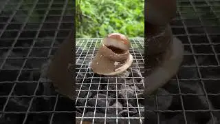First time seeing a super big snail!| Chinese Mountain Forest Life And Food #MoTiktok #Fyp