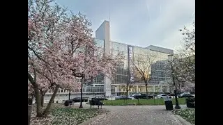 World Bank Tour in Washington DC