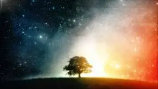 Light Upon Light نُّورٌ عَلَى نُورٍ