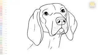 Vizsla dog head drawing easy | Art tutorial | How to draw Hungarian Vizsla dog head step by step