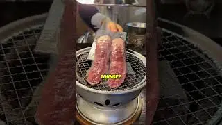 What Makes Moose Meat Special?