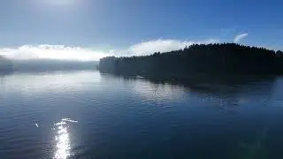 Newport Oregon's Yaquina Bay. Out in the front yard 11 27 24   Made with Clipchamp