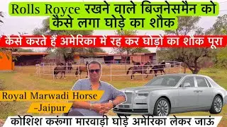 Rolls Royce रखने वाले बिजनेसमैन को कैसे लगा घोड़े का शौक चाहता हूं घोड़े की सेवा करना ! (9829212228)