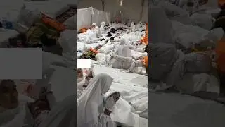 holy makkah hajj 2024 mashaallah #islam #viral #shorts