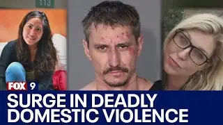 Surge in deadly domestic violence case