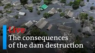 European Parliament plenary debate on consequences of the Nova Kakhovka dam destruction | DW News