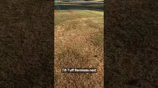 Recreational Putting Green Project Part 3 🌱