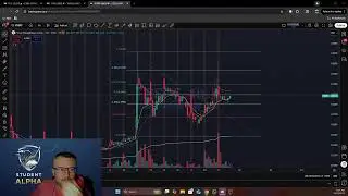 Student Alpha Live Stream