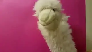 I can't feel my fuzz when I'm with you
