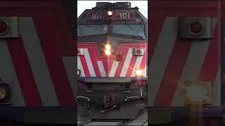 Metra doubleheader at Elmhurst!