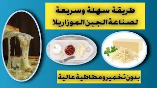 تصنيع جبن الموزاريلا Mozzarella Cheese