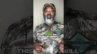 How to keep your Bermuda grass green in the winter 🥶 months 🤔