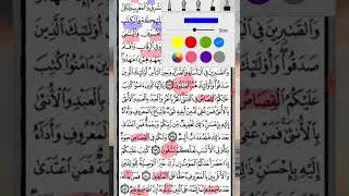 تثبيت وتربيط (ربع ليس البر)