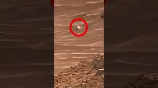 Mars perseverance sol 205