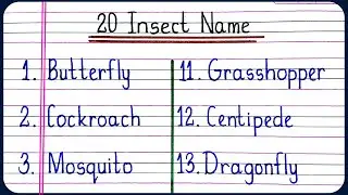 20 Insects Name In English | Names of Insects | 20 insect names | कीड़े मकोड़े के नाम