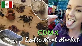 Inside the EXOTIC MEAT MARKET:  Mexico City's Most UNIQUE Food Experience!   |  Mexico Travel Vlog